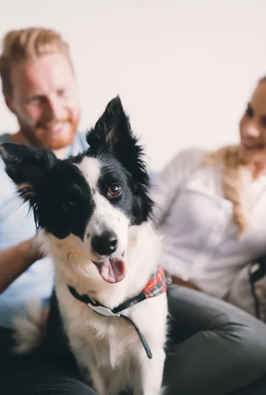 a man and woman sitting on a couch with a dog at The Auberge of Tyler