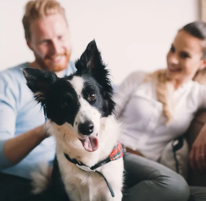 a man and woman sitting on a couch with a dog at The Auberge of Tyler